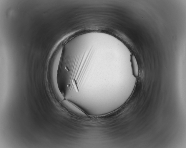 X0000083600724200703091740