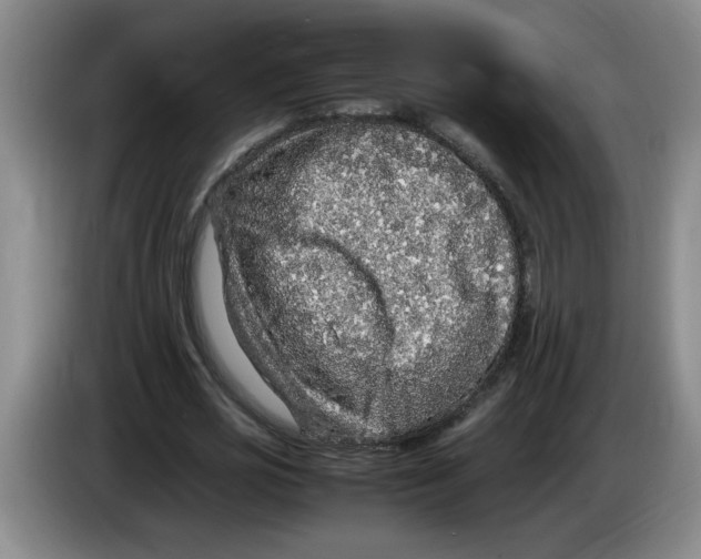 X0000083600725200703091740