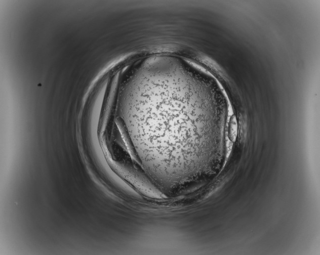 X0000083600726200703091740