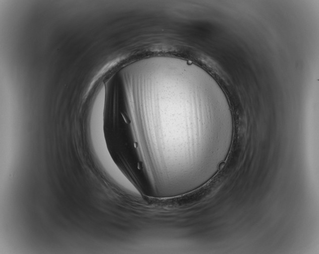 X0000083600727200703091740