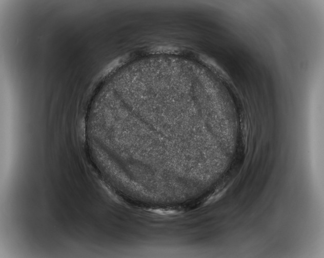 X0000083600729200703091740