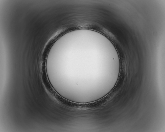 X0000083600730200703091740