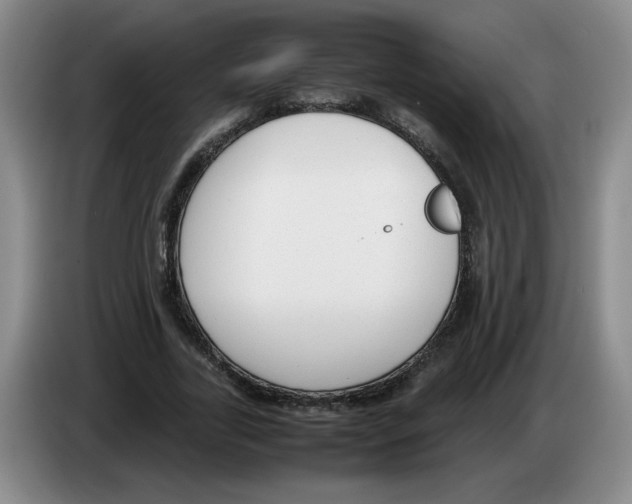 X0000083600731200703091741