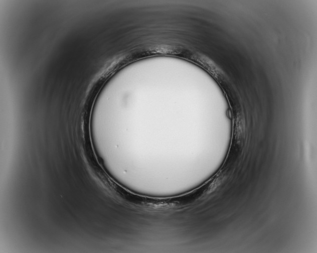 X0000083600734200703091741