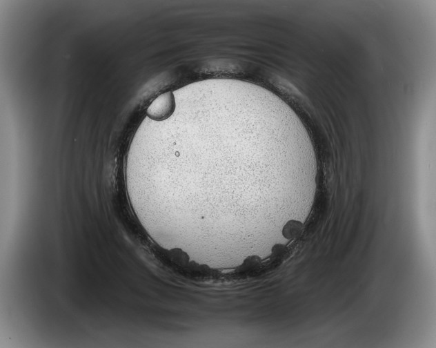X0000083600735200703091741