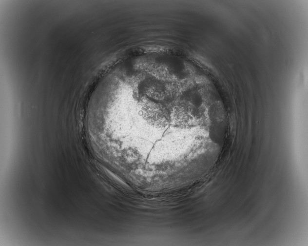 X0000083600737200703091741