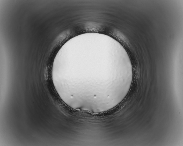 X0000083600738200703091741