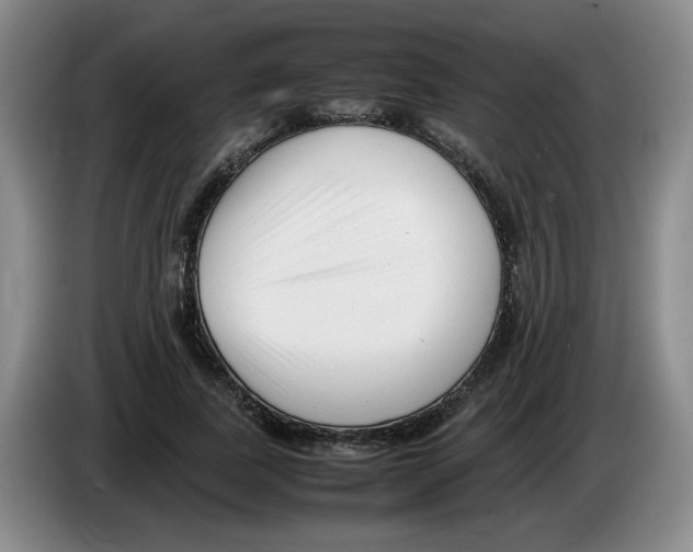 X0000083600739200703091741