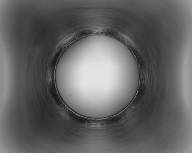 X0000083600740200703091741