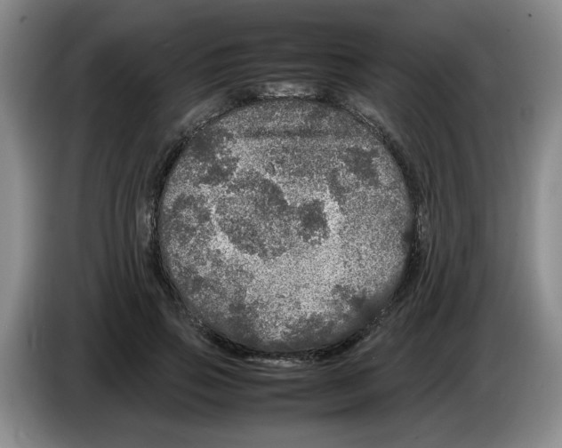 X0000083600741200703091741