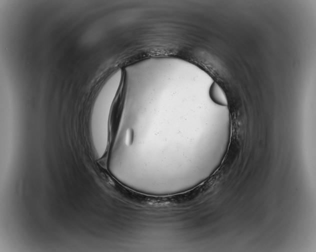 X0000083600742200703091741