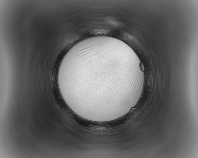 X0000083600743200703091741