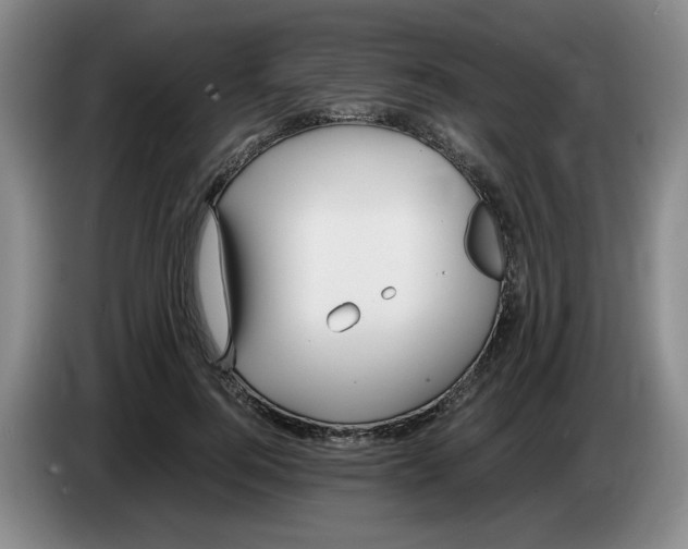 X0000083600744200703091741