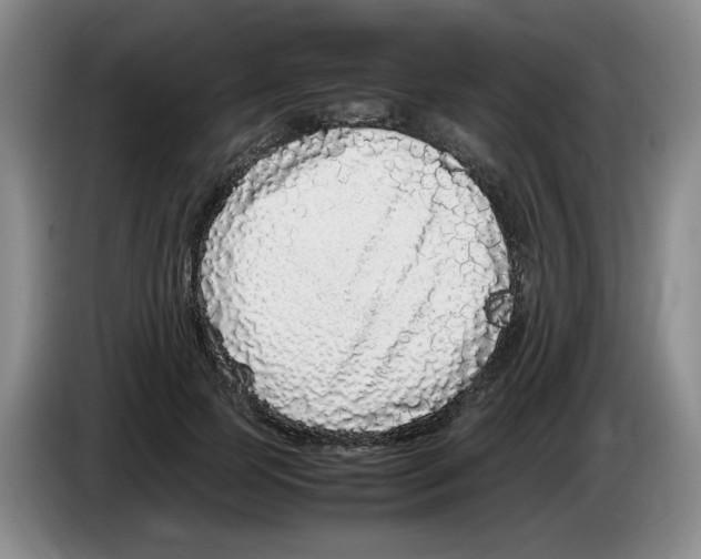 X0000083600745200703091741