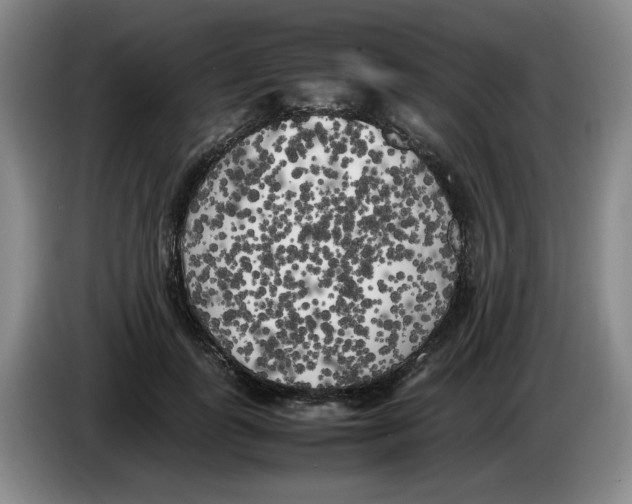 X0000083600747200703091741