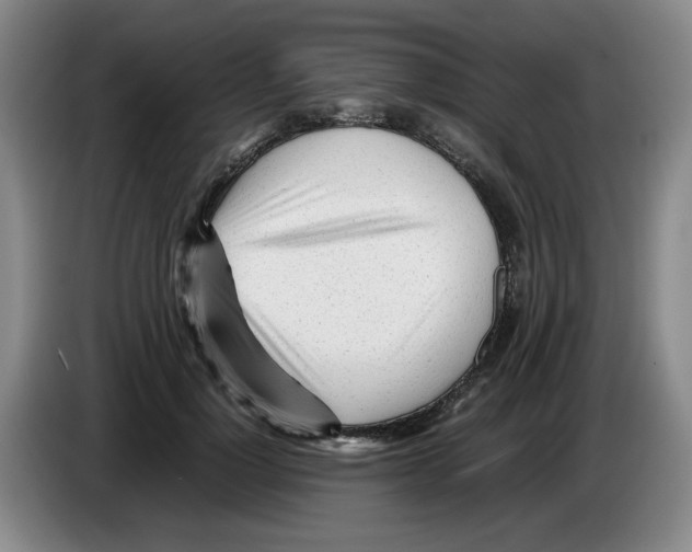 X0000083600748200703091741