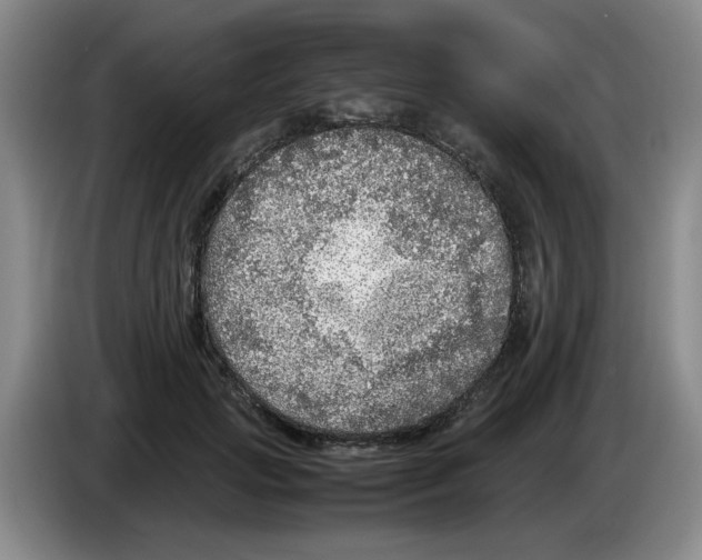 X0000083600749200703091741