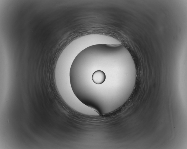 X0000083600750200703091741