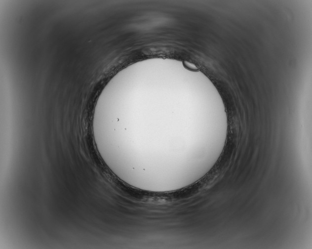 X0000083600751200703091741