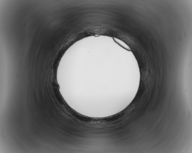 X0000083600752200703091741