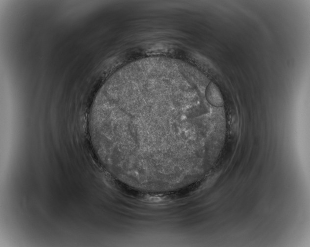 X0000083600753200703091741