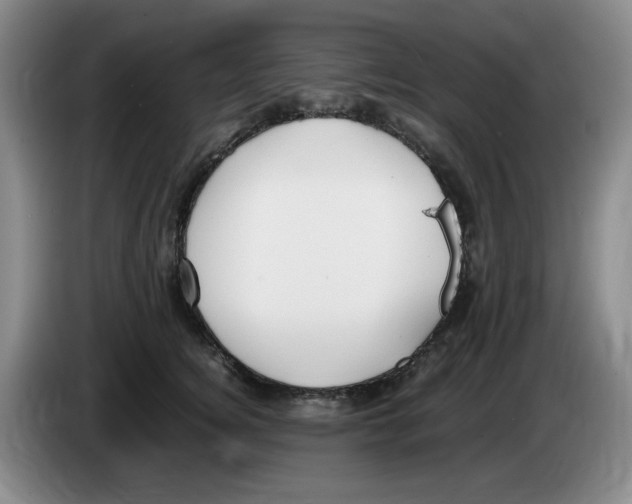 X0000083600756200703091741