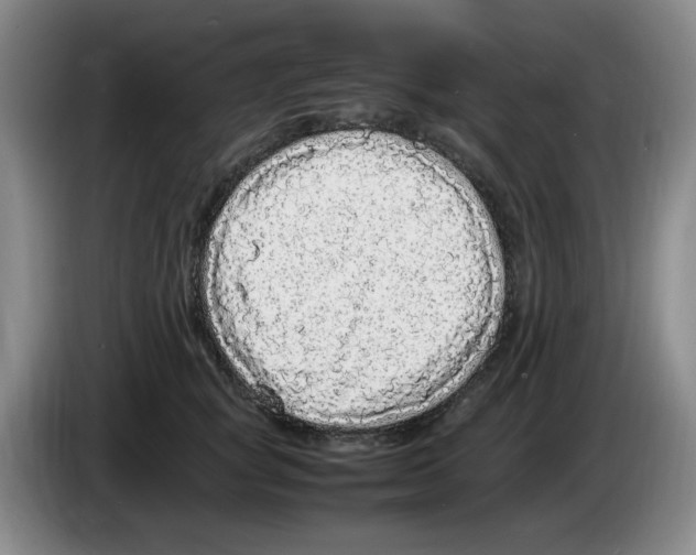 X0000083600757200703091741