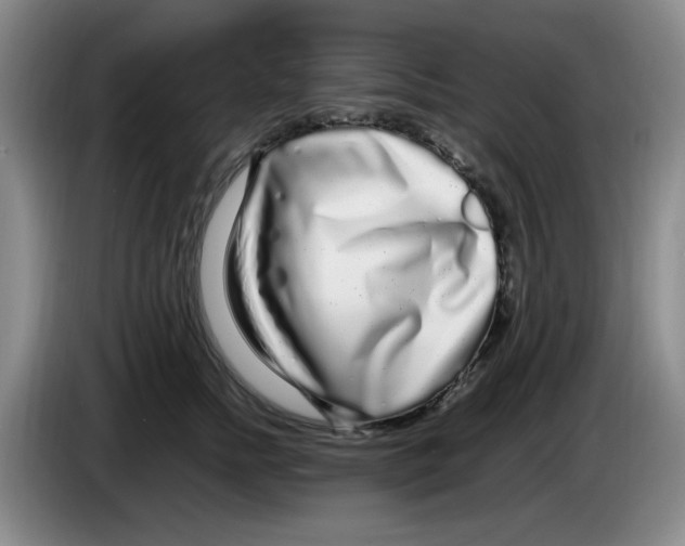 X0000083600758200703091741