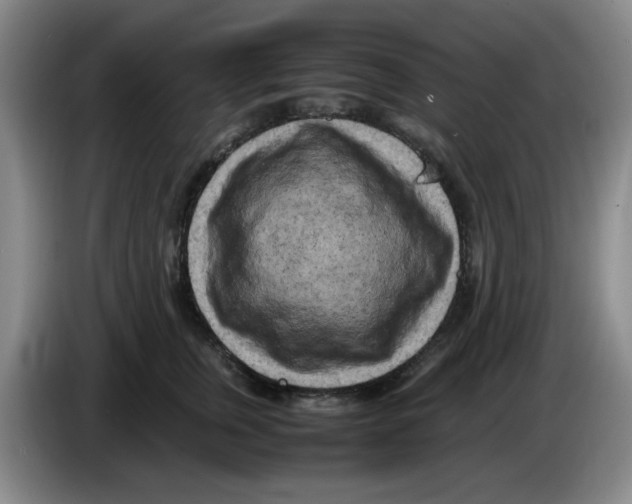 X0000083600759200703091741