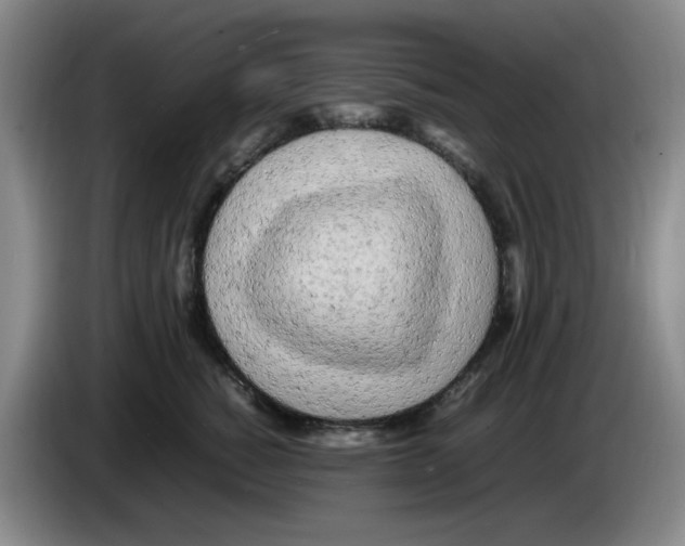 X0000083600760200703091741