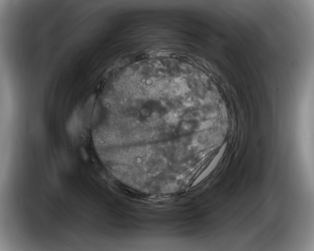 X0000083600761200703091741