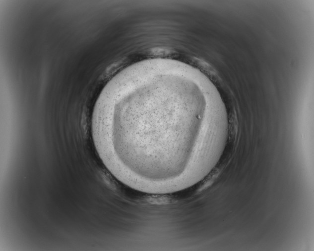 X0000083600762200703091741