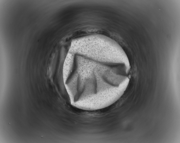 X0000083600763200703091741