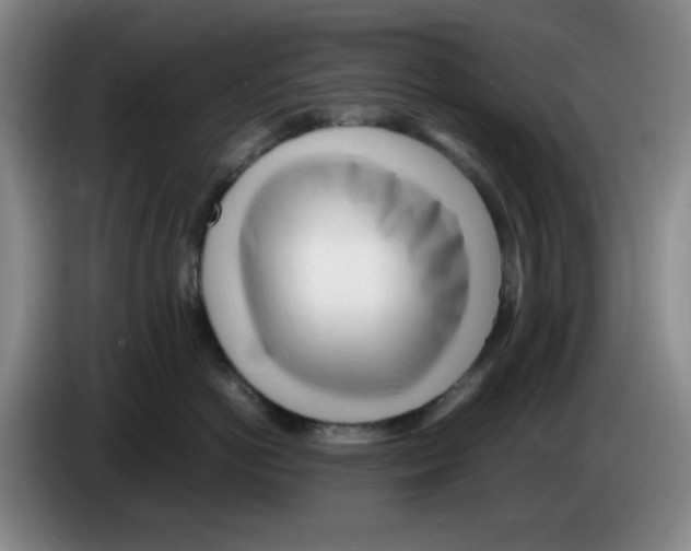 X0000083600766200703091741