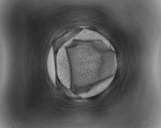 X0000083600767200703091741