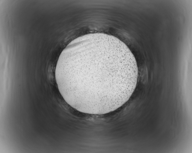 X0000083600770200703091740