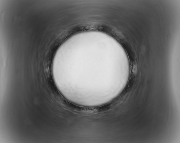 X0000083600771200703091740