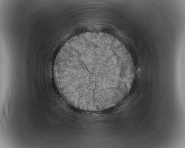 X0000083600772200703091740