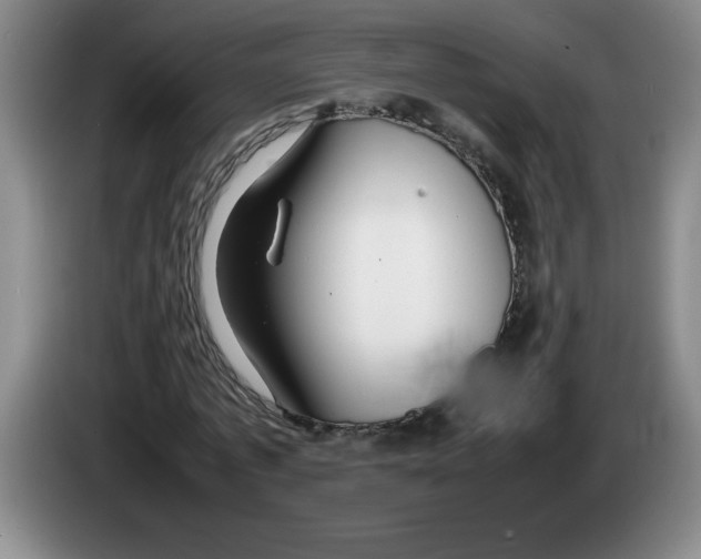 X0000083600773200703091740