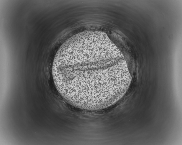 X0000083600774200703091740