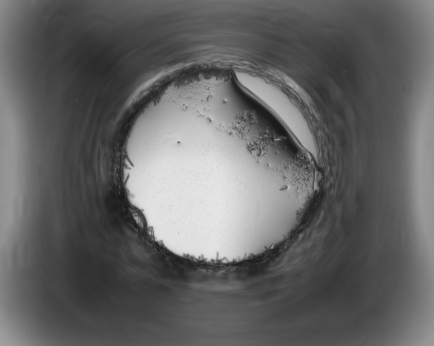 X0000083600775200703091740