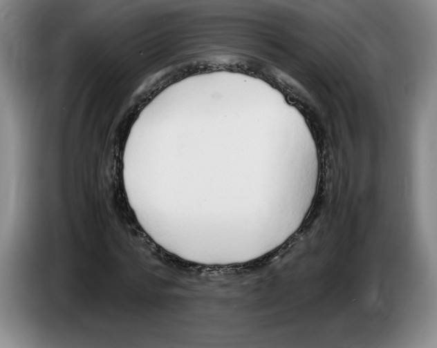 X0000083600776200703091740