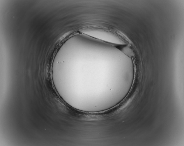 X0000083600777200703091740