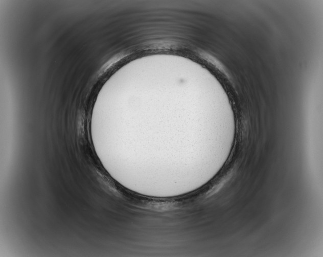 X0000083600778200703091740