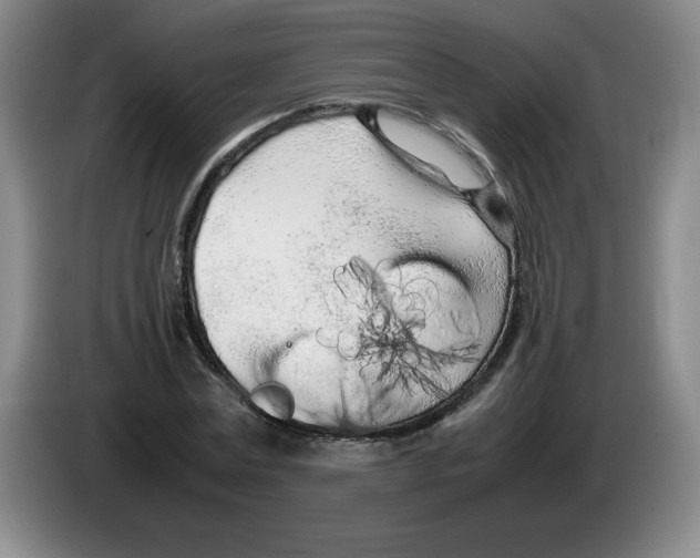 X0000083600779200703091740