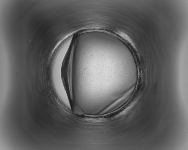 X0000083600781200703091740