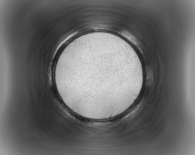 X0000083600782200703091740