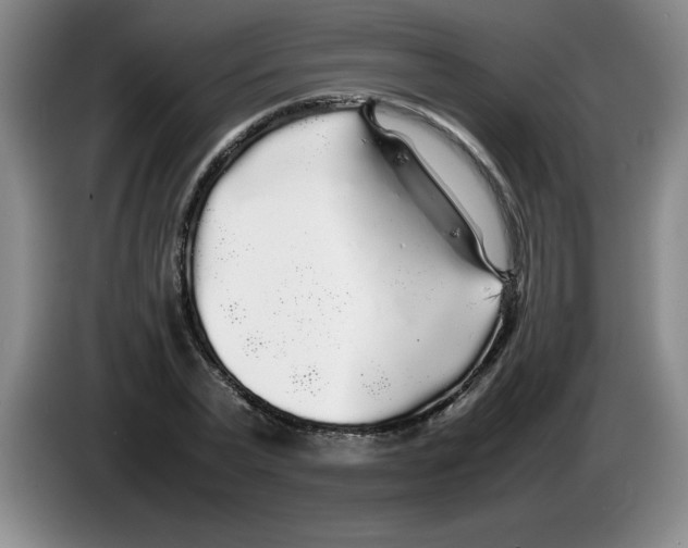 X0000083600783200703091740