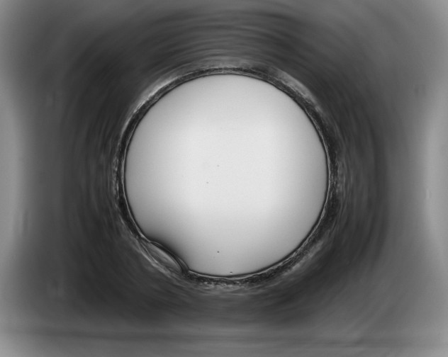 X0000083600786200703091740