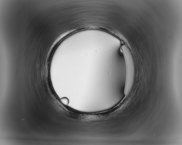 X0000083600787200703091740